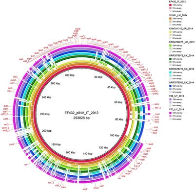 Tracing Back the Evolutionary Route of Enteroinvasive Escherichia coli (EIEC) and Shigella Through the Example of the Highly Pathogenic O96:H19 EIEC Clone